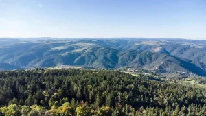 Paysage Proche d'Yssingeaux, lileu d'intervention de l'agence web